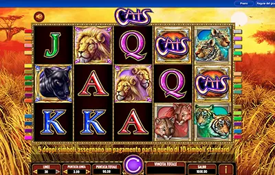 cats