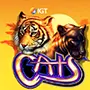 cats